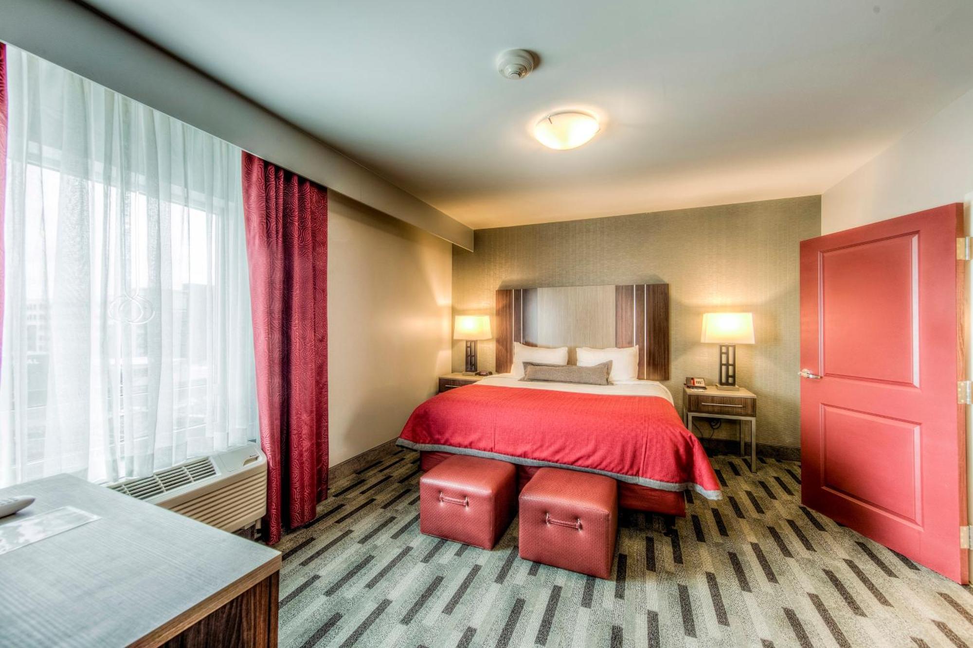 One-Bedroom King Suite Transfer Shower Mobility Hearing Access,715012408:JPEG